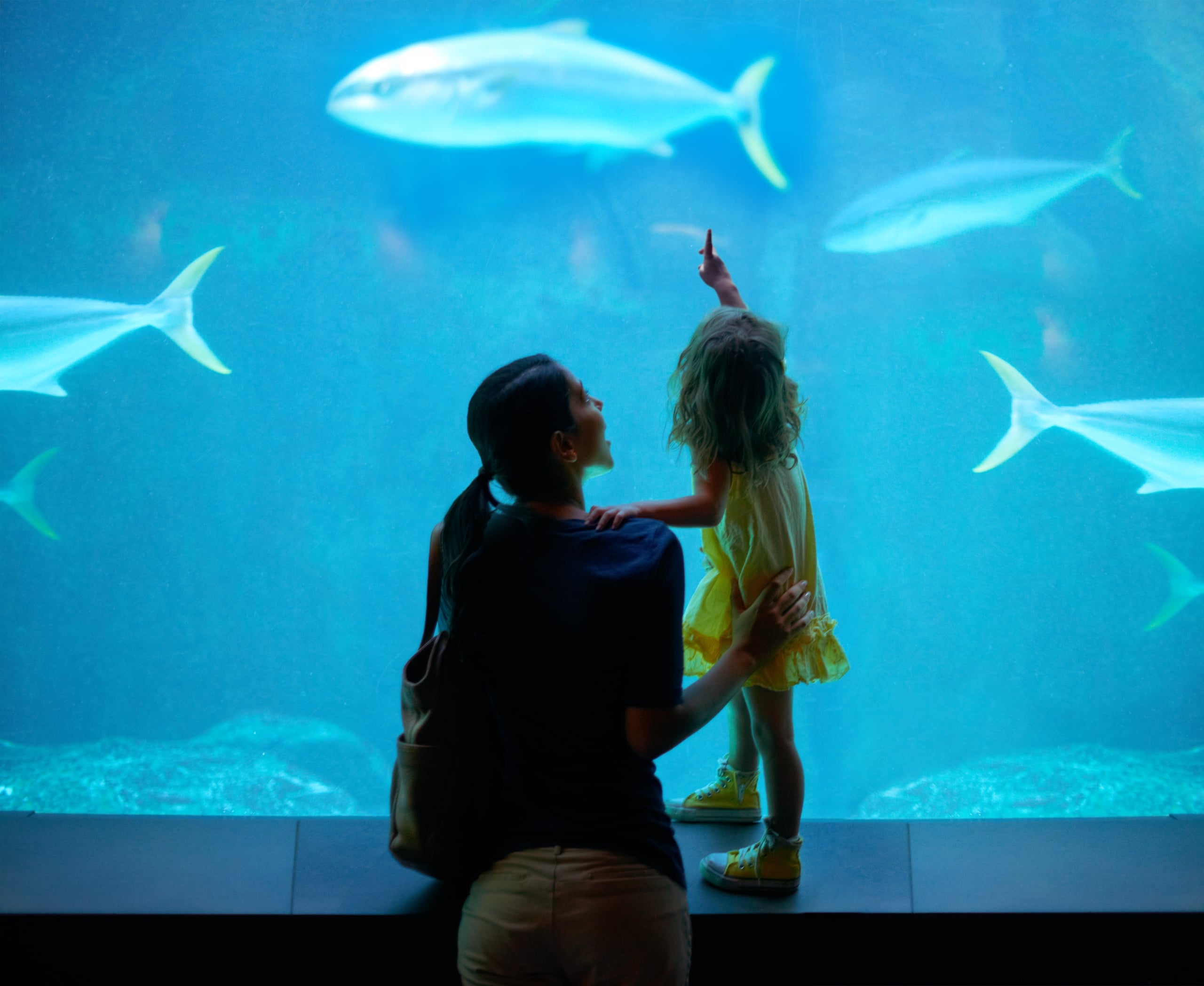 Shot of a young family enjoying a day at the aquarium