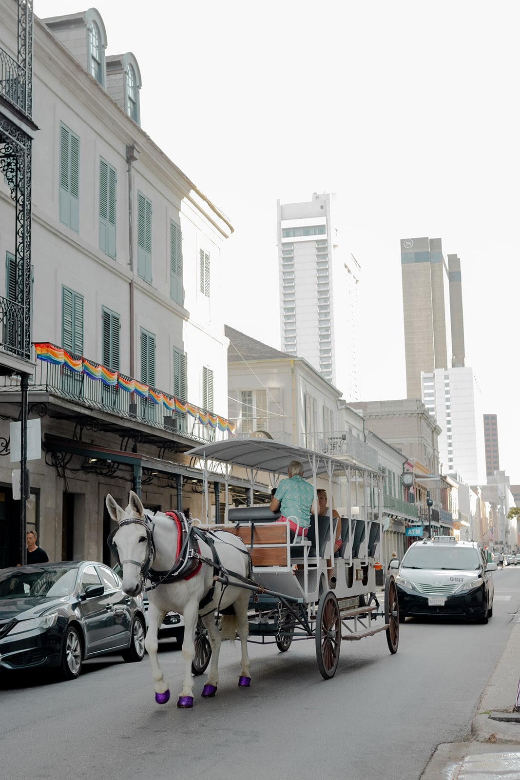 New Orleans carriage ride through the French Quarter with historic buildings and modern skyscrapers.