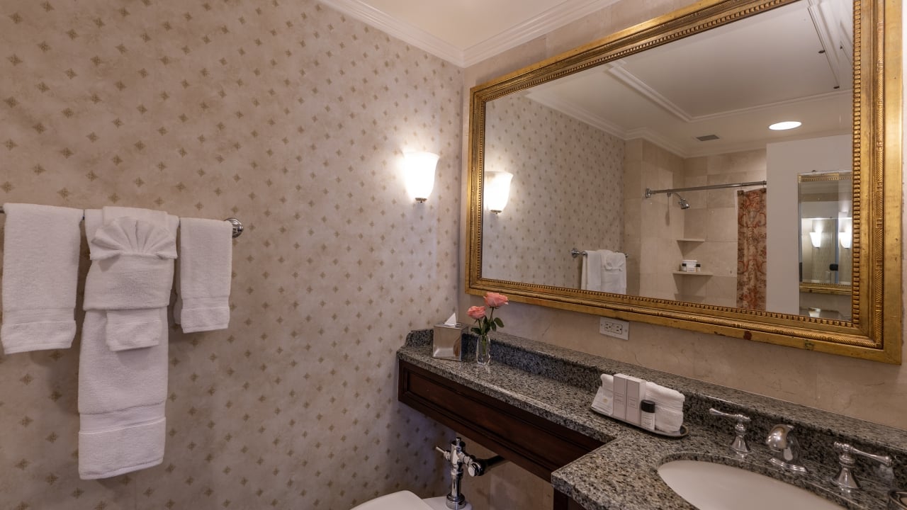 A hotel bathroom with a granite countertop, gold-framed mirror, and tiled shower.